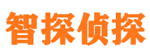 荆州市私家侦探